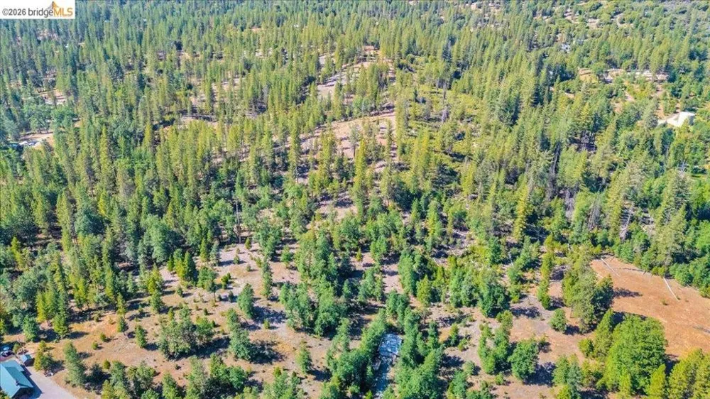 10421 Dexter Ln Coulterville, CA 95311