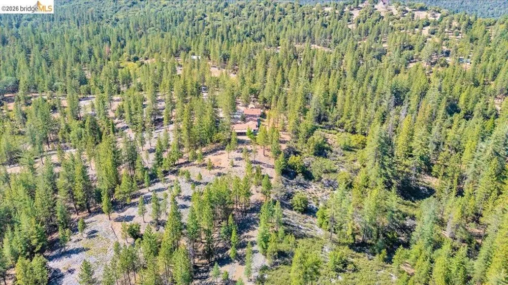 10421 Dexter Ln Coulterville, CA 95311