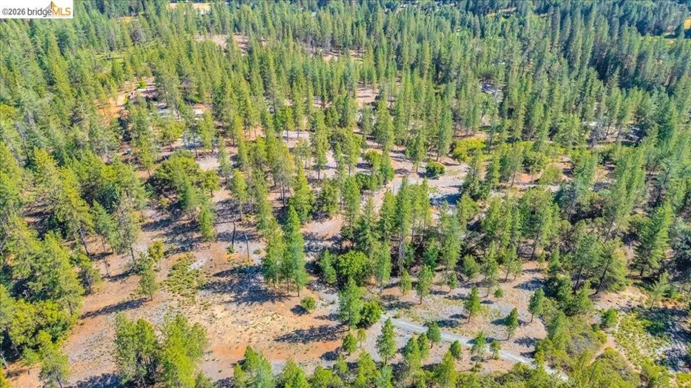 10421 Dexter Ln Coulterville, CA 95311