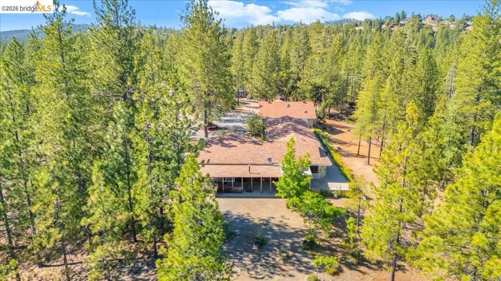 10421 Dexter Ln Coulterville, CA 95311