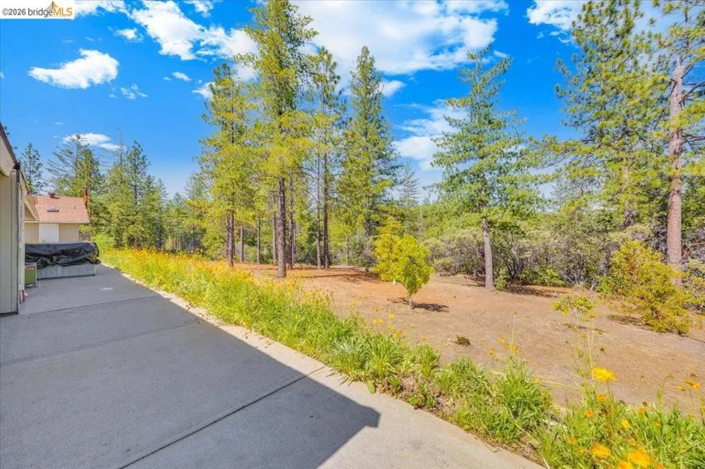 10421 Dexter Ln Coulterville, CA 95311