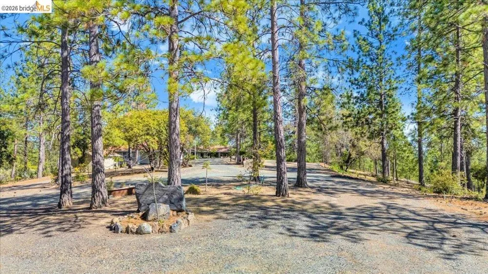 10421 Dexter Ln Coulterville, CA 95311