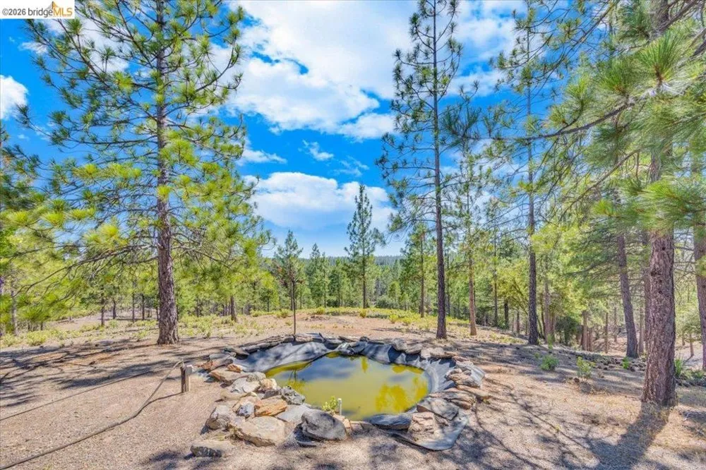 10421 Dexter Ln Coulterville, CA 95311