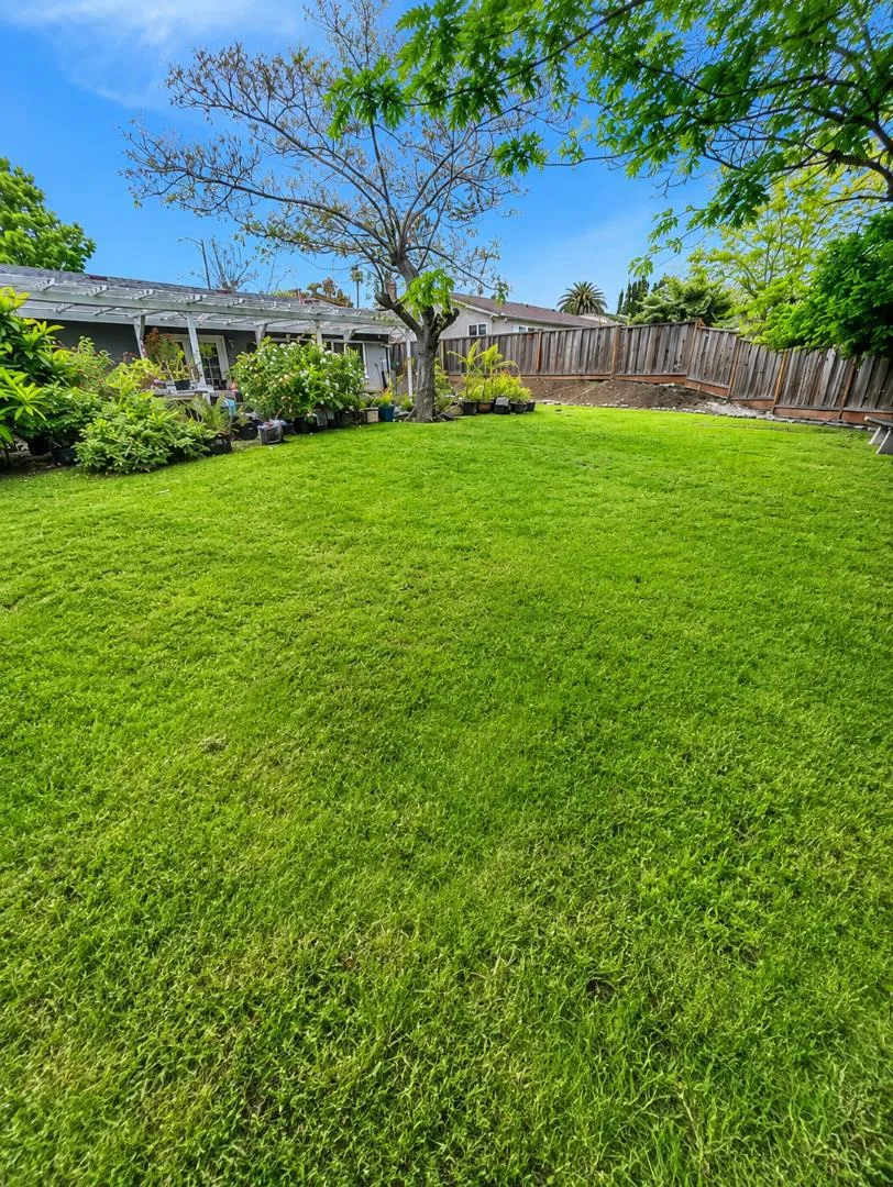 1565 Sierra Creek Way San Jose, CA 95132