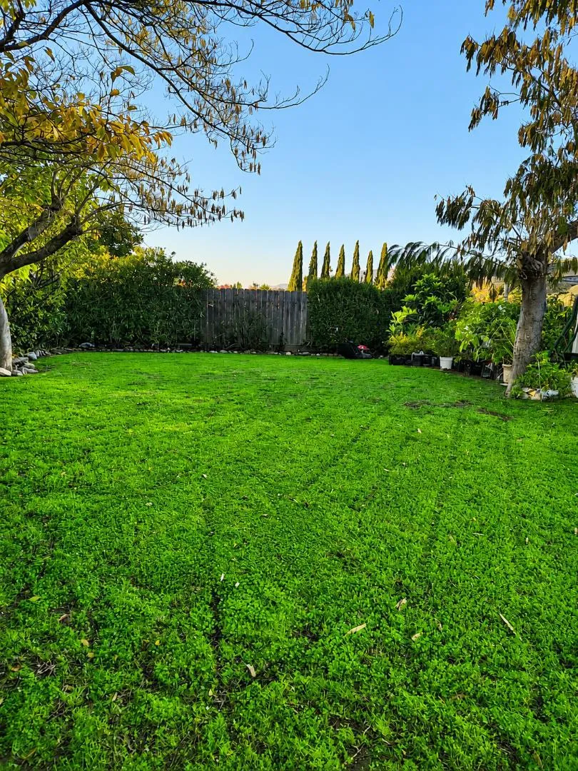 1565 Sierra Creek Way San Jose, CA 95132