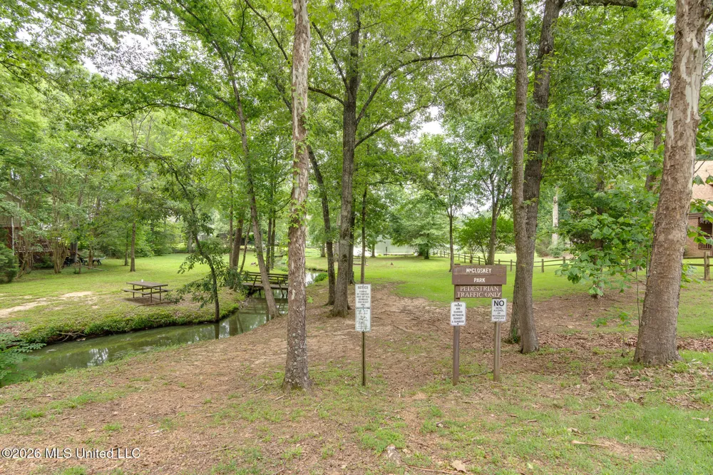 4040 Windermere Drive Nesbit, MS 38651