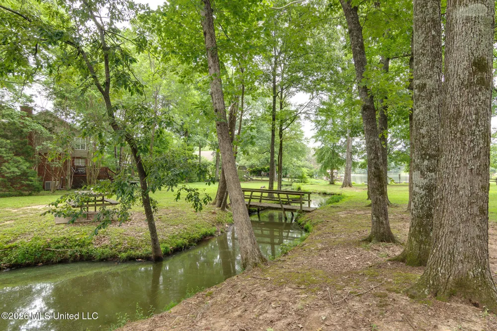 4040 Windermere Drive Nesbit, MS 38651