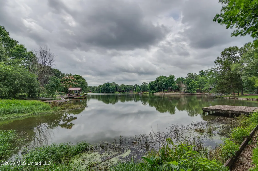 4040 Windermere Drive Nesbit, MS 38651