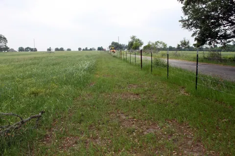 Brushy Branch Road