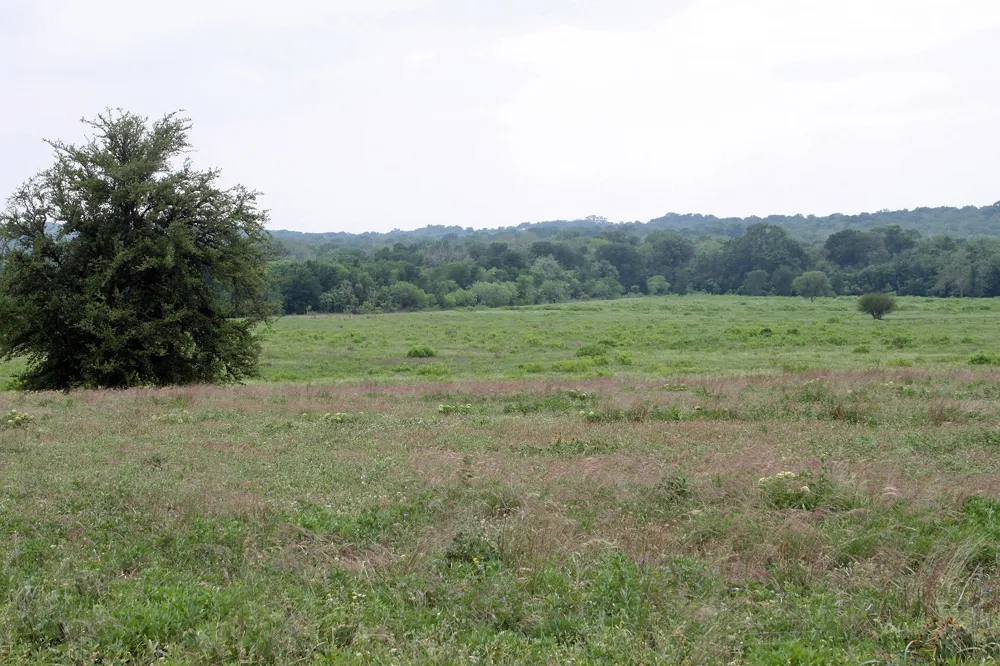 Brushy Branch Road Lockhart, TX 78644