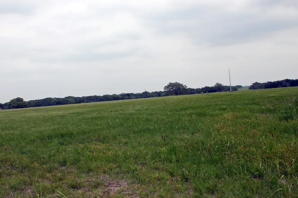 Brushy Branch Road Lockhart, TX 78644