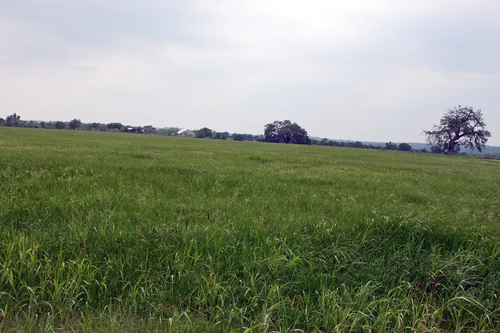 Brushy Branch Road Lockhart, TX 78644
