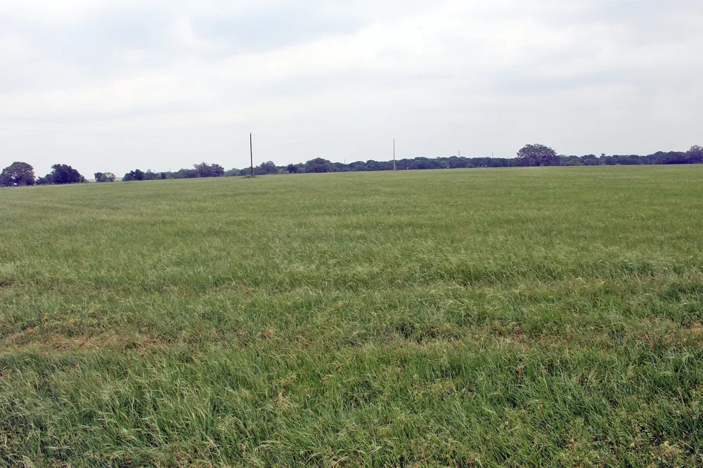 Brushy Branch Road Lockhart, TX 78644