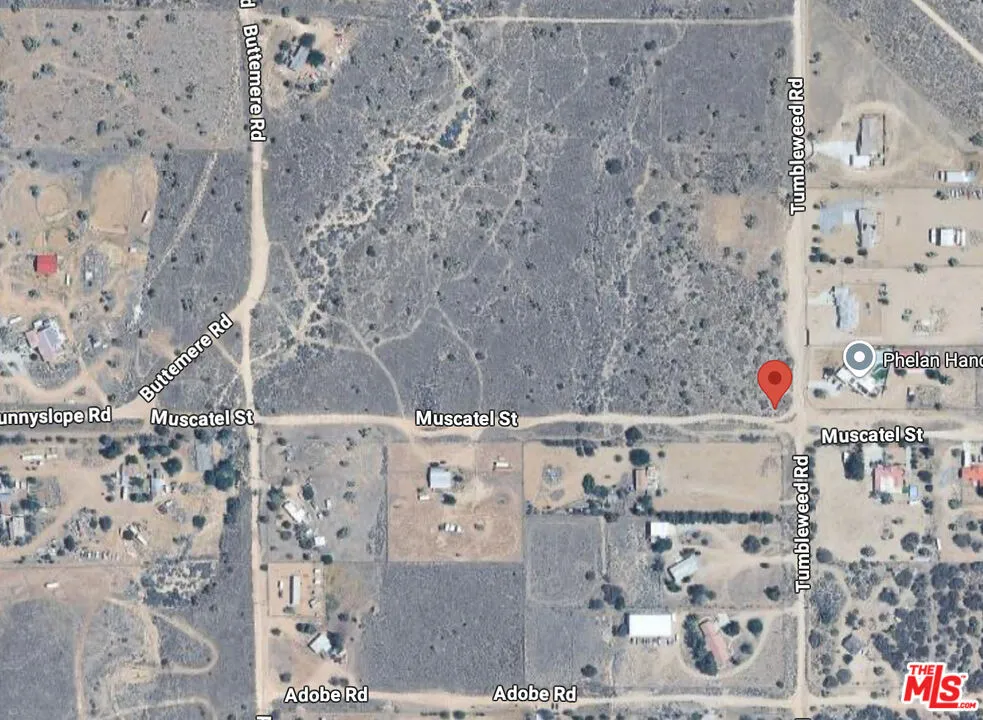 Tumbleweed Phelan, CA 92371