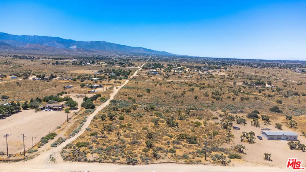 Tumbleweed Phelan, CA 92371