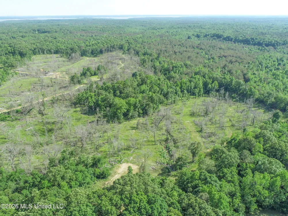 Wayne Massie Road Como, MS 38619