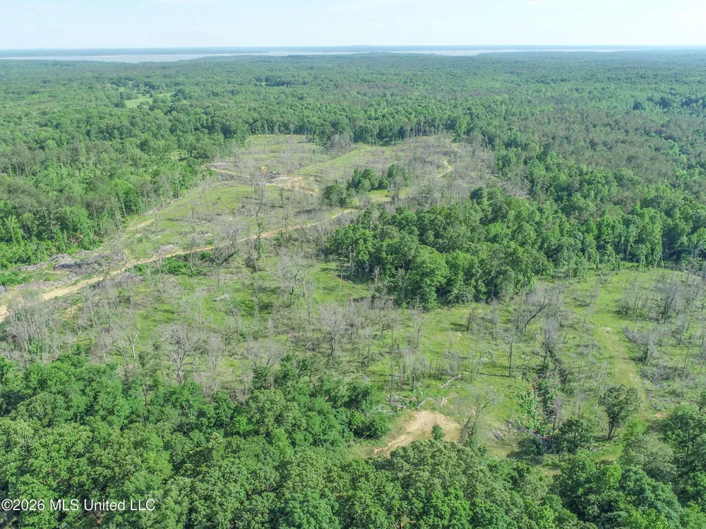 Wayne Massie Road Como, MS 38619