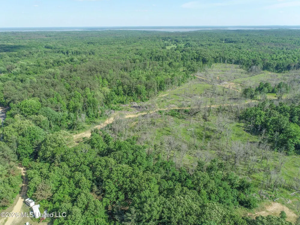 Wayne Massie Road Como, MS 38619