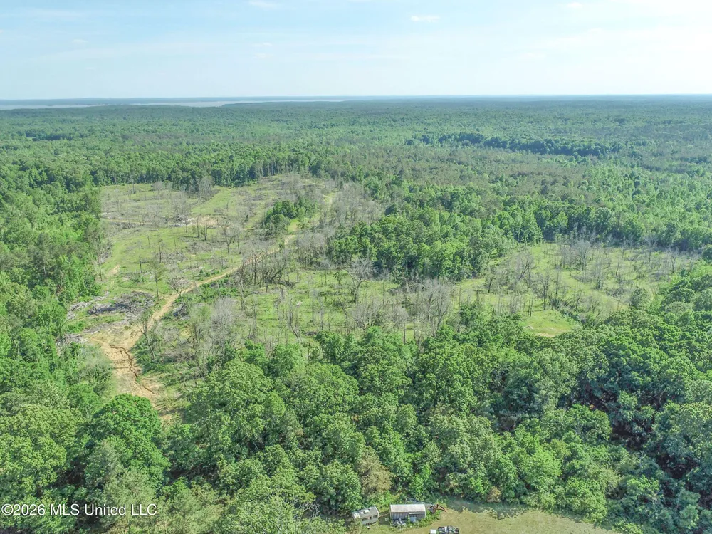 Wayne Massie Road Como, MS 38619