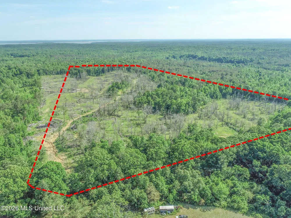 Wayne Massie Road Como, MS 38619
