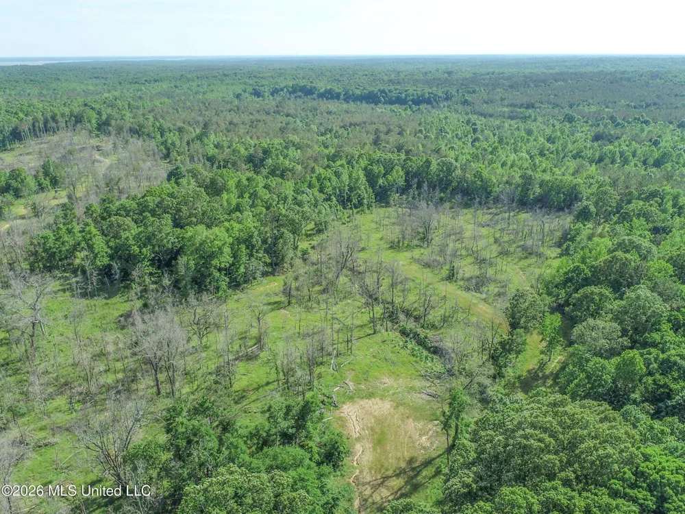Wayne Massie Road Como, MS 38619