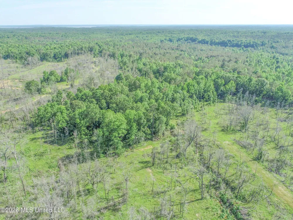 Wayne Massie Road Como, MS 38619