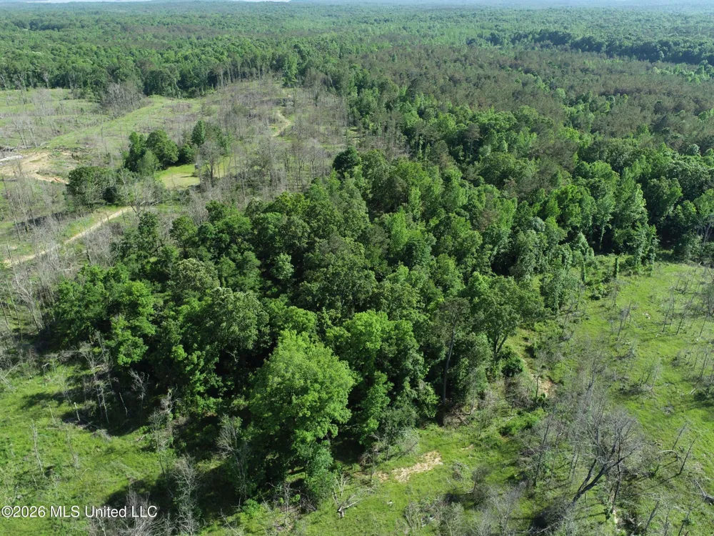 Wayne Massie Road Como, MS 38619