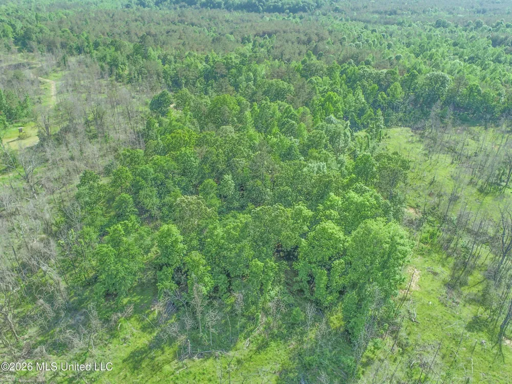 Wayne Massie Road Como, MS 38619