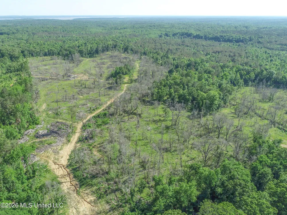 Wayne Massie Road Como, MS 38619