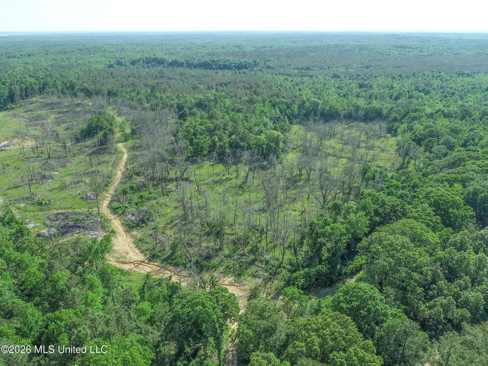 Wayne Massie Road Como, MS 38619