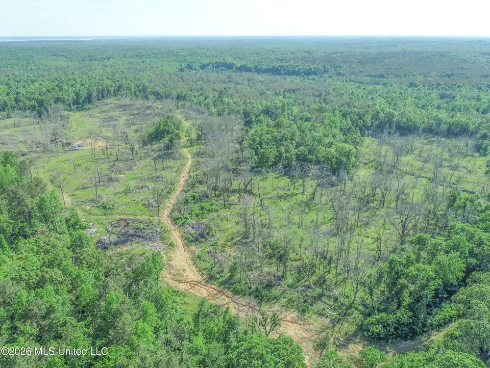 Wayne Massie Road Como, MS 38619