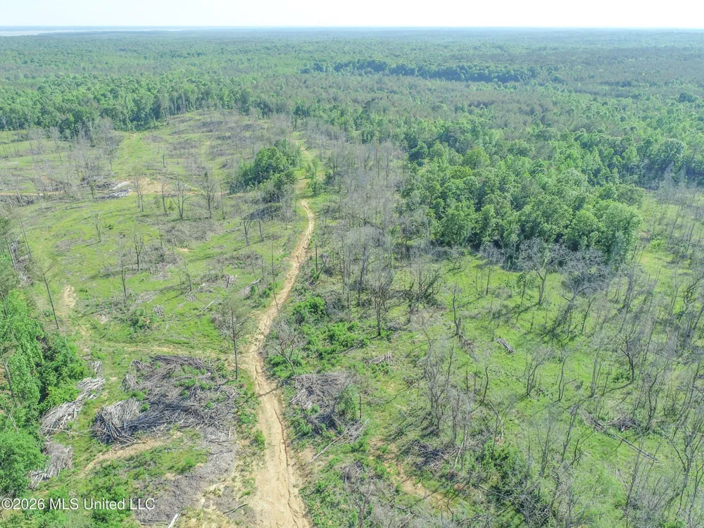 Wayne Massie Road Como, MS 38619