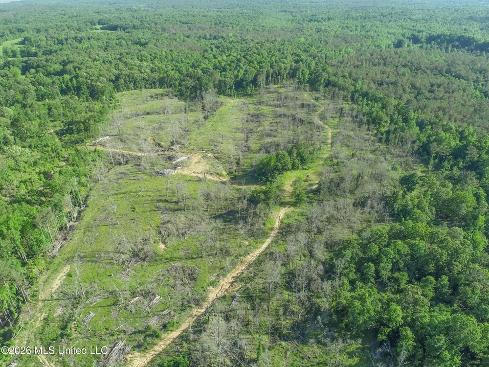 Wayne Massie Road Como, MS 38619