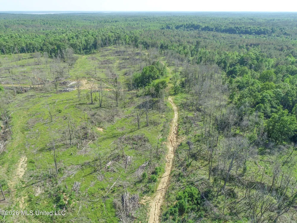 Wayne Massie Road Como, MS 38619