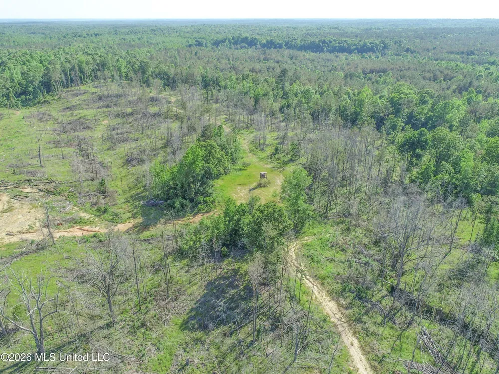 Wayne Massie Road Como, MS 38619