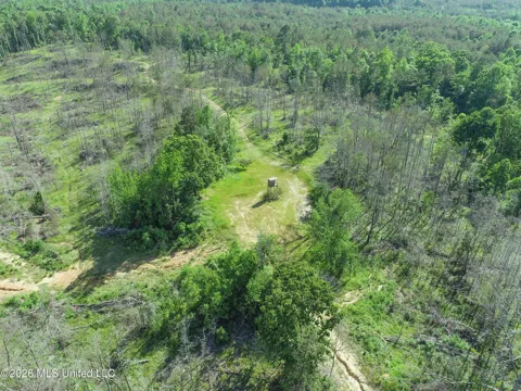 Wayne Massie Road