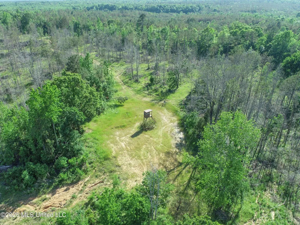 Wayne Massie Road Como, MS 38619