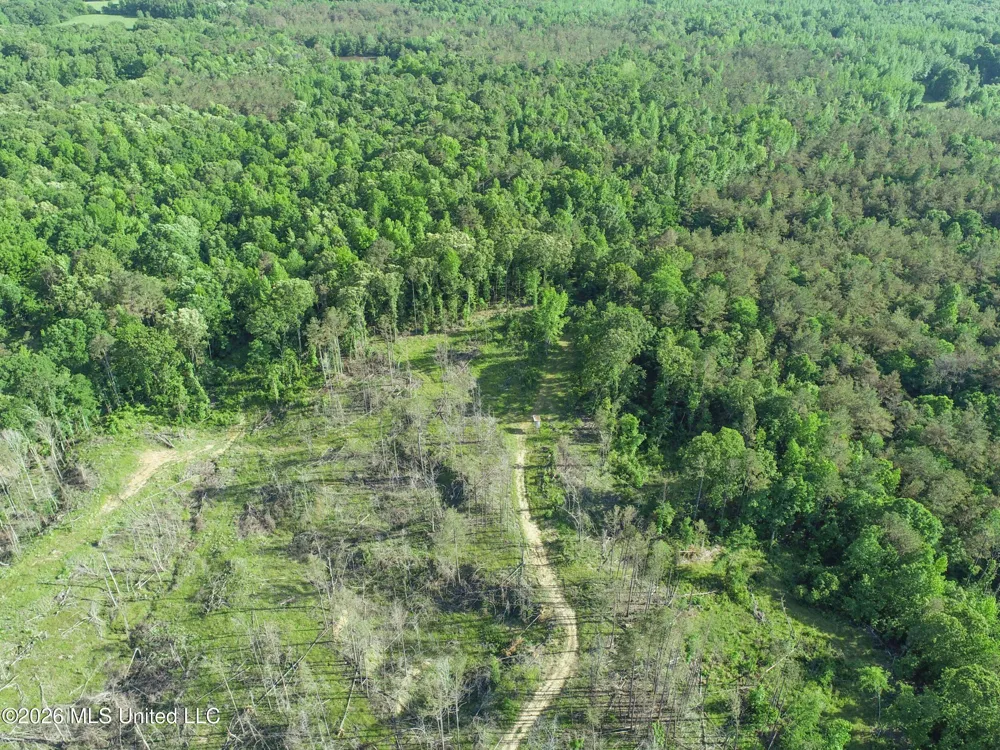 Wayne Massie Road Como, MS 38619