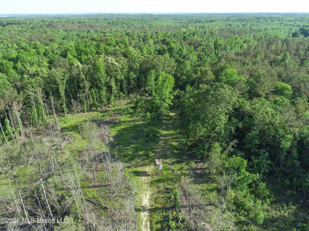 Wayne Massie Road Como, MS 38619