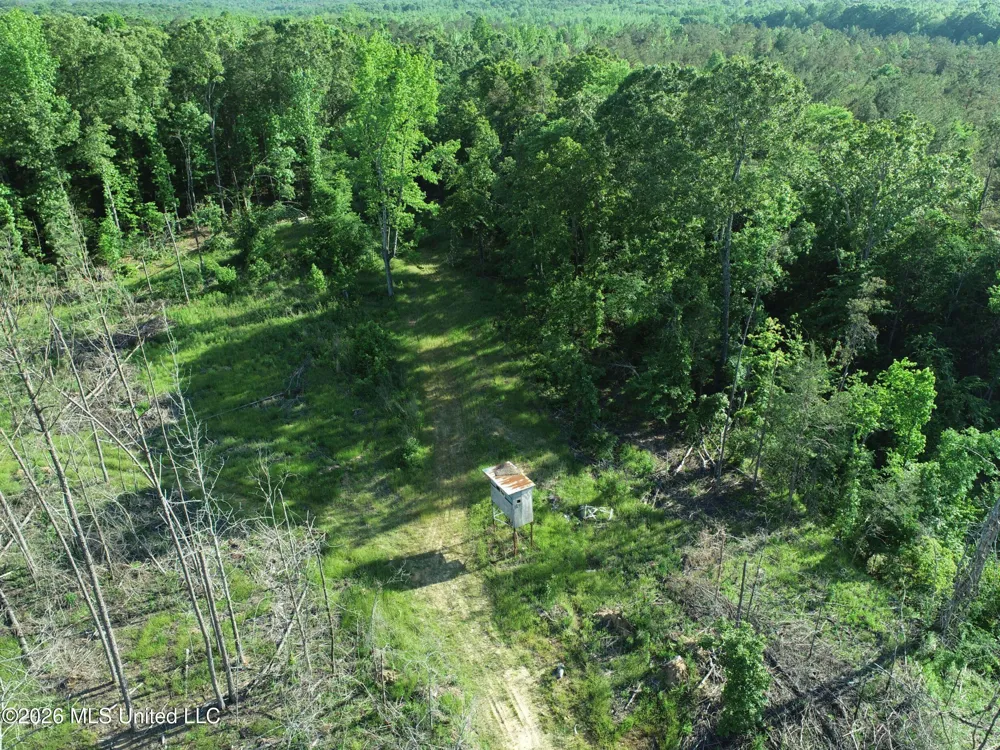 Wayne Massie Road Como, MS 38619