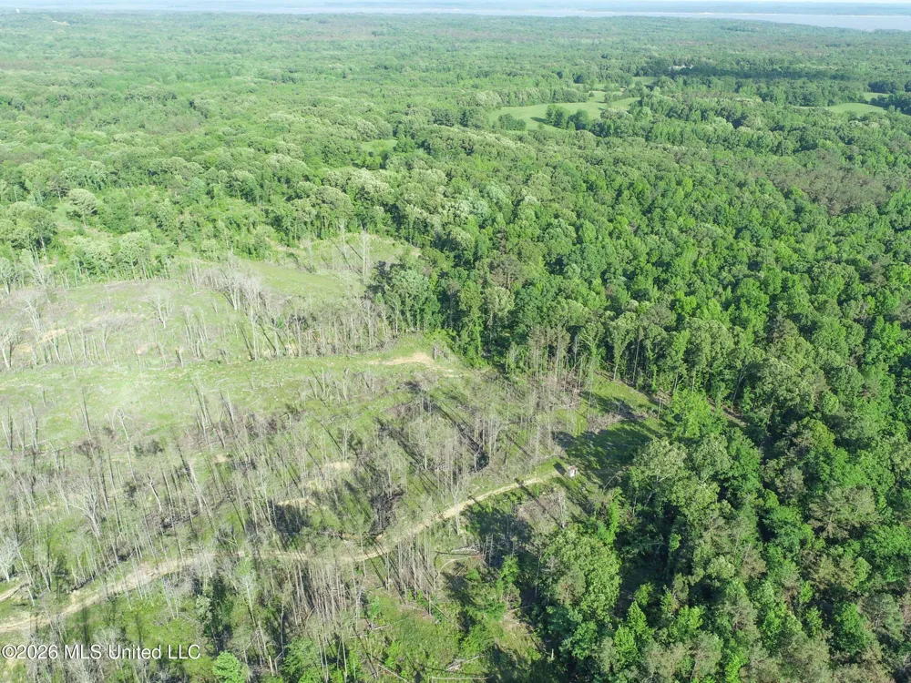 Wayne Massie Road Como, MS 38619