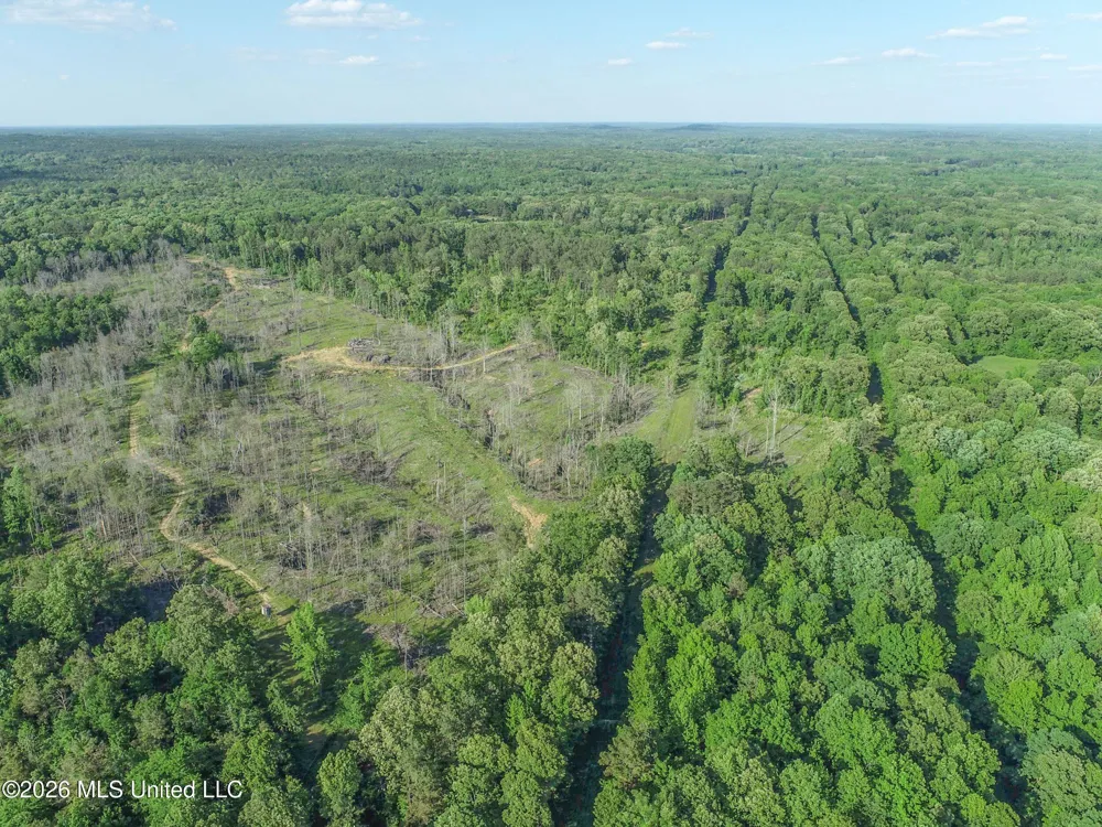 Wayne Massie Road Como, MS 38619