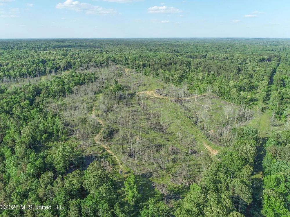 Wayne Massie Road Como, MS 38619