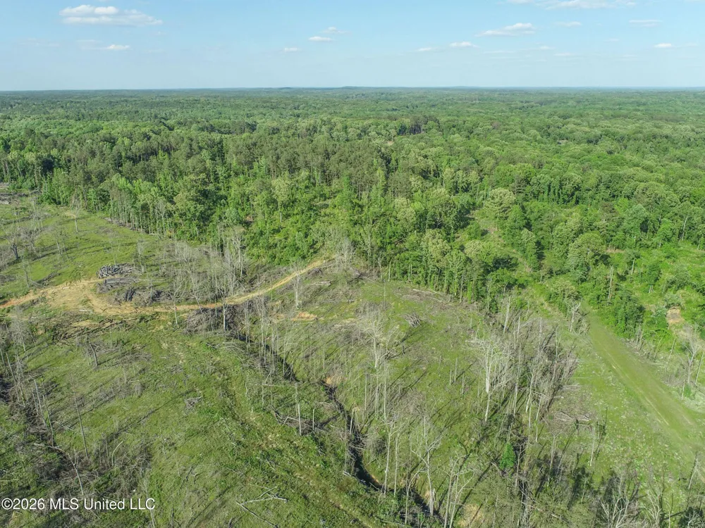 Wayne Massie Road Como, MS 38619