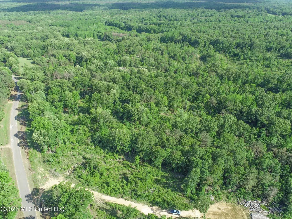 Wayne Massie Road Como, MS 38619