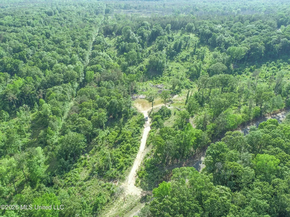 Wayne Massie Road Como, MS 38619