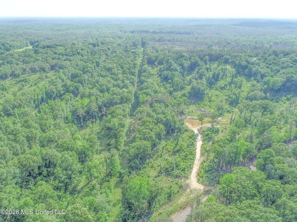 Wayne Massie Road Como, MS 38619