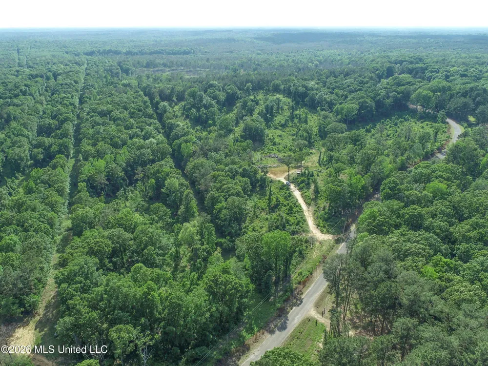 Wayne Massie Road Como, MS 38619