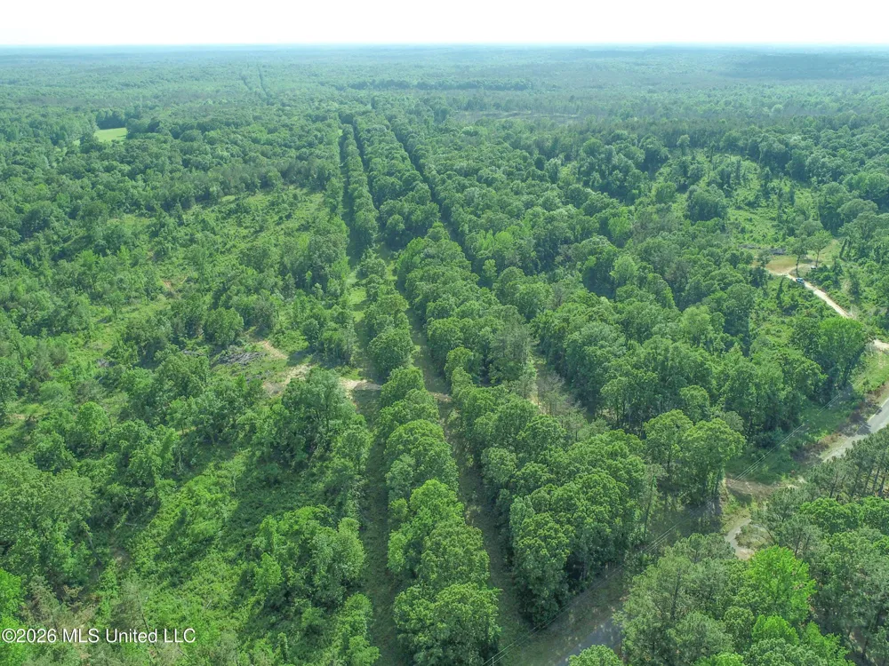 Wayne Massie Road Como, MS 38619