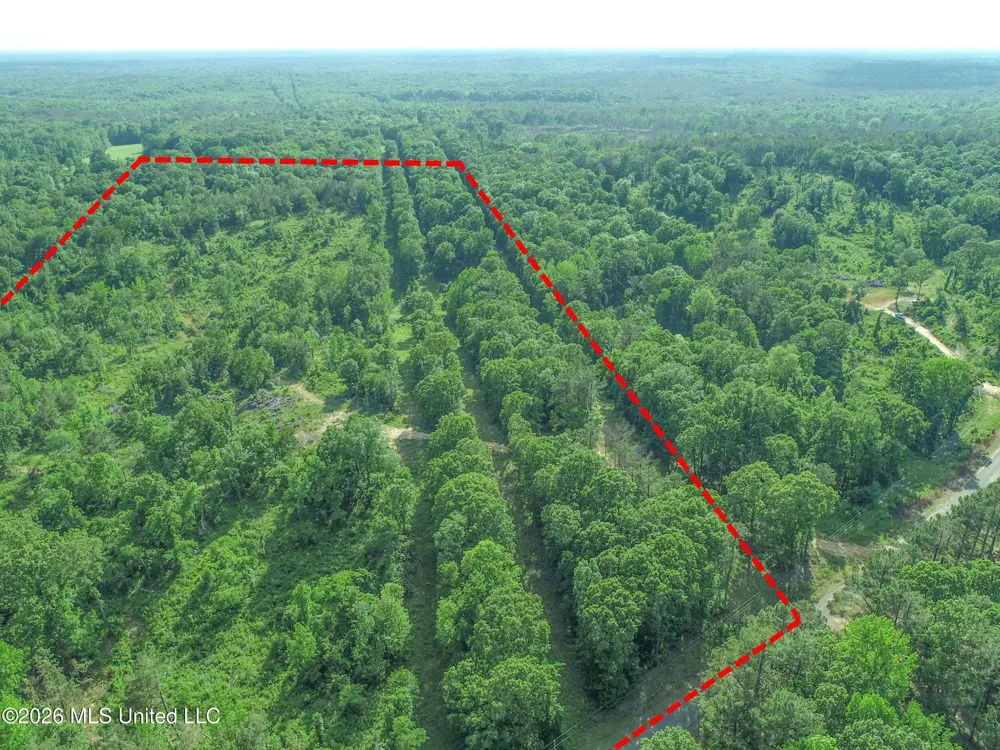 Wayne Massie Road Como, MS 38619